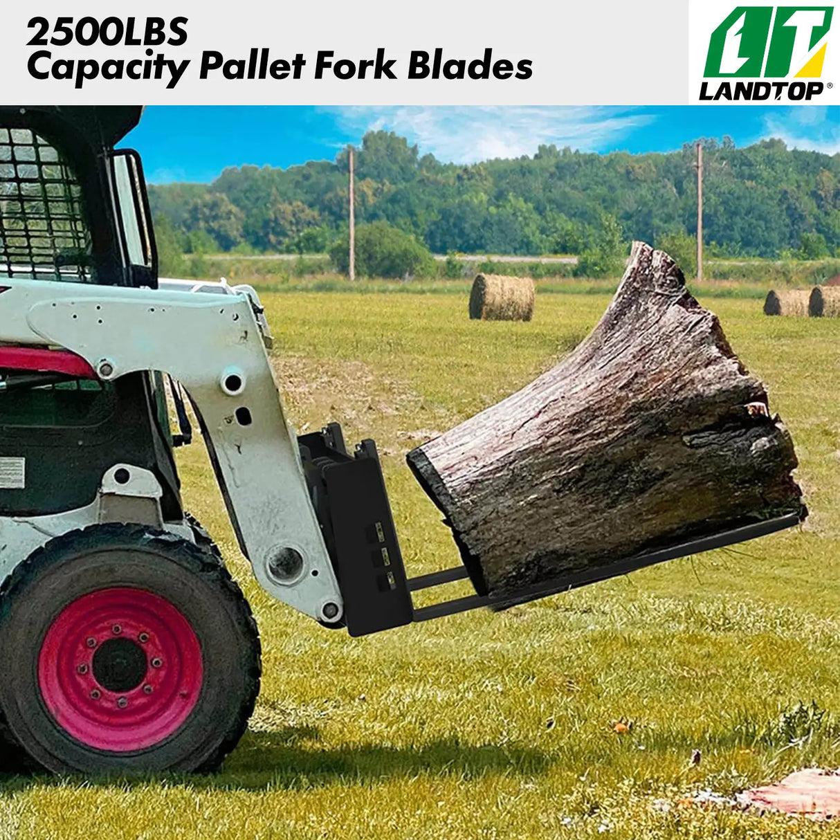 Standard 4000lbs Quick Attach 45" Frame Pallet Forks Attachment With 42" Forks Blades